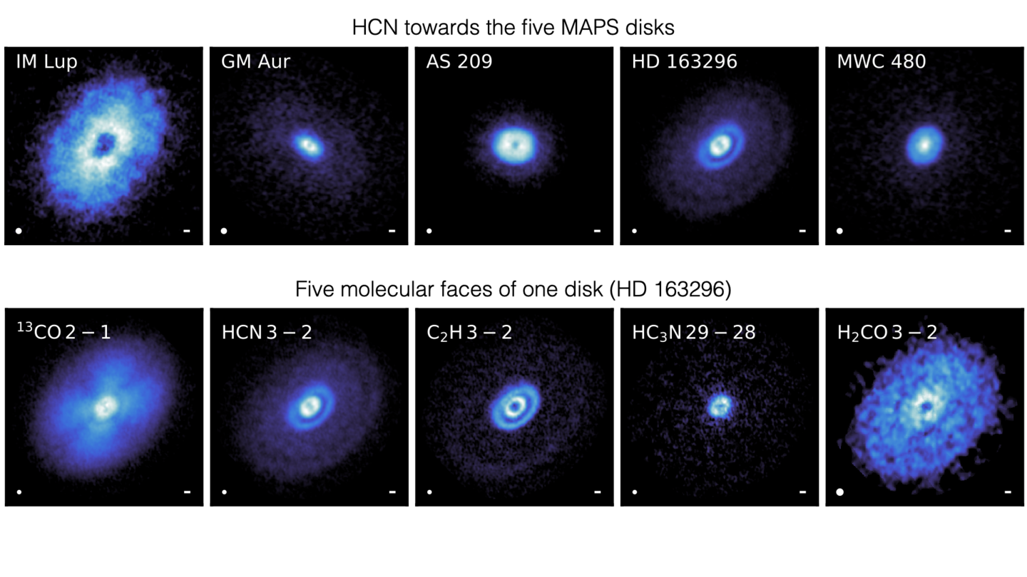 HCN towards the five MAPS disks, and five molecular maps towards the HD 163296 disk.