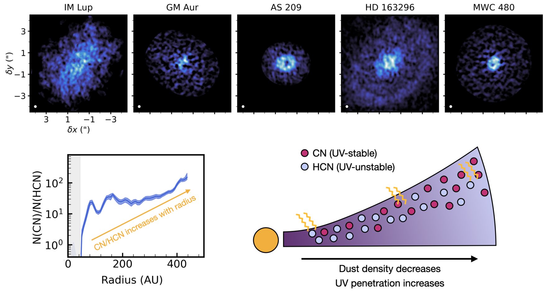 An image of CN emission in the five MAPS disk.  A figure showing the CN/HCN ratio increasing as a function of the disk radius.  A cartoon depicting how lower dust densities at larger disk radii allow more UV penetration, so HCN (UV-unstable) is destroyed but CN (UV-stable) can survive.